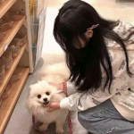 小米女神竞技场手游下载